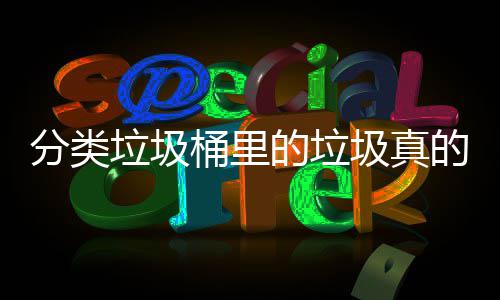 的垃的会分类分类桶里圾真吗垃圾处置